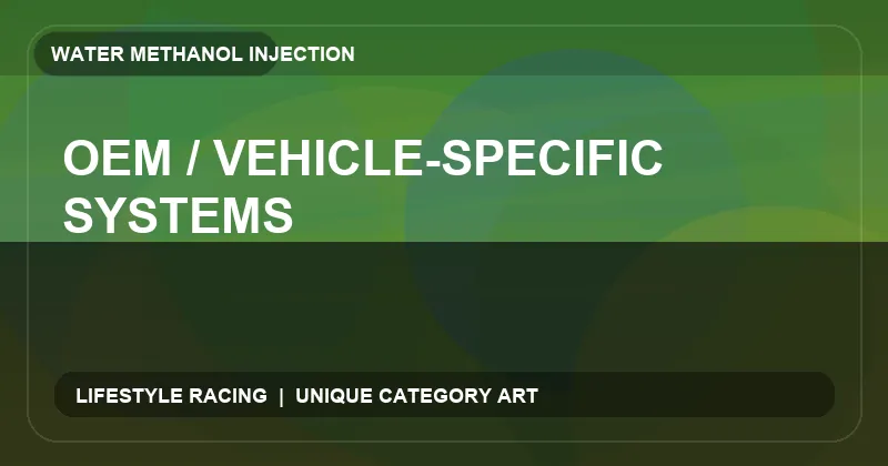 OEM / Vehicle-Specific Systems